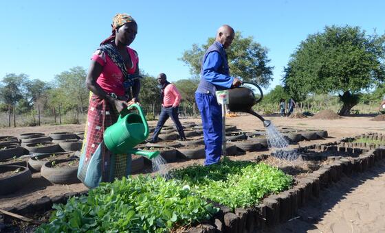 Países precisam diversificar produção para garantir segurança alimentar, diz FAO